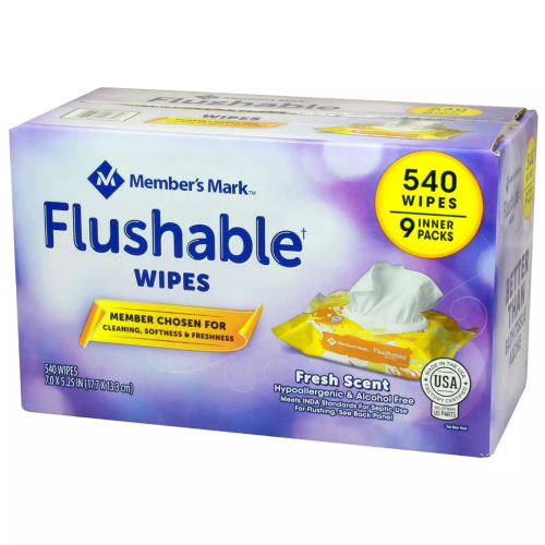 Member's Mark Flushable Wipes (60/pk., 9 pk.)